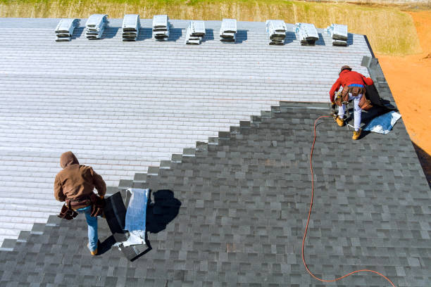 Best Roof Repair Services  in Kotzebue, AK