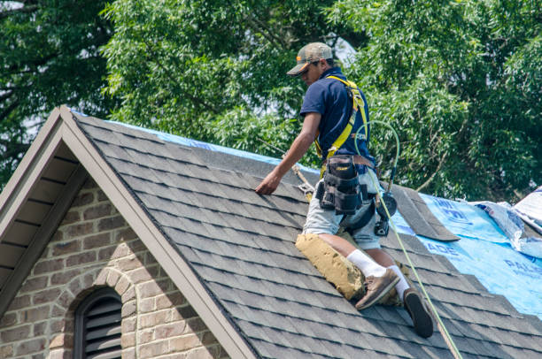 Best Roof Gutter Cleaning  in Kotzebue, AK